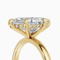 Oro Amarillo